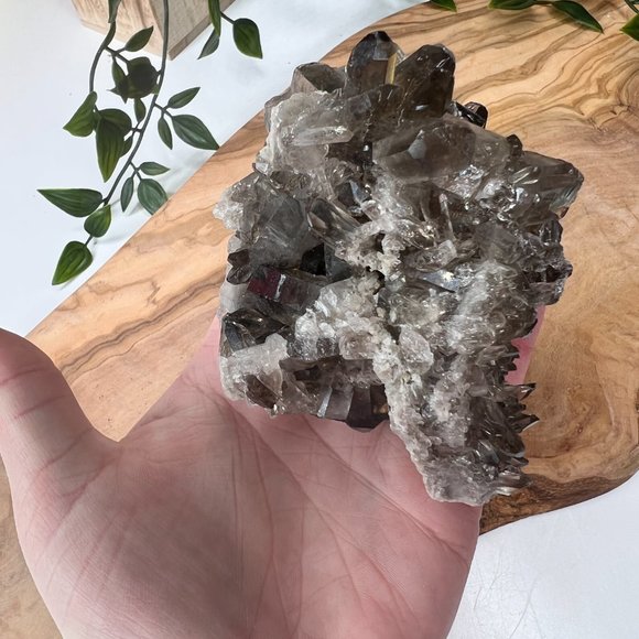 1 lb Double Sided Raw Smoky Quartz Crystal Cluster - A+ Collector Quality - Picture 11 of 13